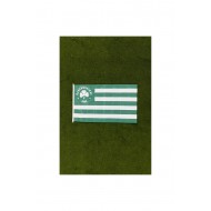 Παναθηναϊκός σημαία ριγέ