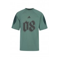 Παναθηναϊκός 2025/26 adidas t-shirt "STADIUM'', πράσινο