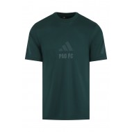 Παναθηναϊκός 2025/26 adidas t-shirt total green stripped "PAO FC",πράσινο