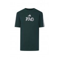 Παναθηναϊκός 2025/26 adidas παιδικό t shirt "ΠΑΟ",πράσινο