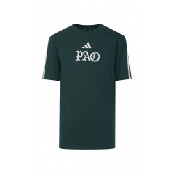Παναθηναϊκός 2025/26 adidas παιδικό t shirt "ΠΑΟ",πράσινο