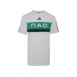Παναθηναϊκός 2025/26 adidas παιδικό t shirt "ΠΑΟ"