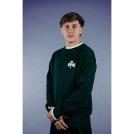 Παναθηναϊκός πλεκτό πουλόβερ "Wembley",πράσινο