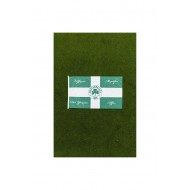 Παναθηναϊκός σημαία ''Σύλλογος Μεγάλος''