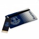 Κασετίνα 22 x 13 εκ. Everton FC