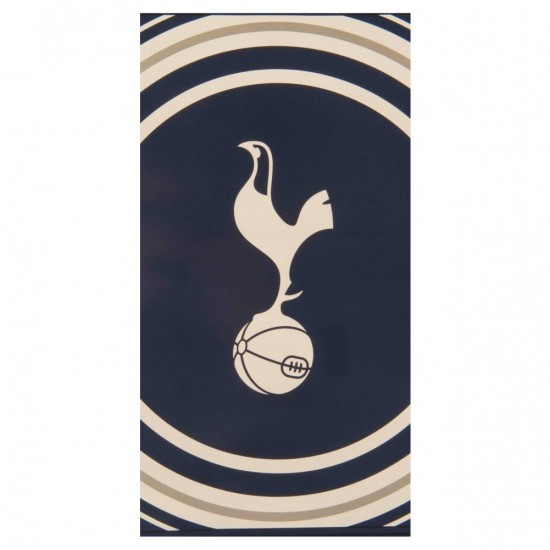 Πετσέτα θαλάσσης 140 x 70 εκ. Tottenham Hotspur FC PL