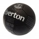 Μπάλα δεξιοτήτων Everton FC RT (μέγεθος 1)