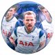 Μπάλα ποδοσφαίρου Players Photo Tottenham Hotspur FC