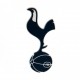Μαγνητάκι ψυγείου 3D Tottenham Hotspur FC