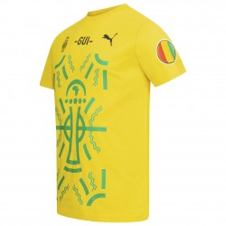 Γουινέα PUMA ανδρικό t-shirt