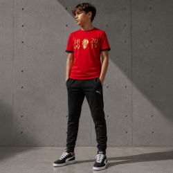 Μίλαν PUMA παιδικό t-shirt 120 χρόνια