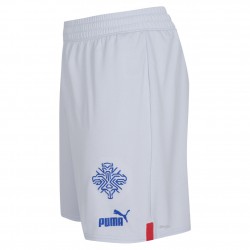 Ισλανδία PUMA ανδρικό σορτς εκτός έδρας