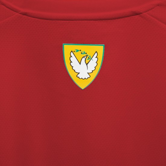 Βόρεια Κύπρος PUMA ανδρική φανέλα εντός έδρας