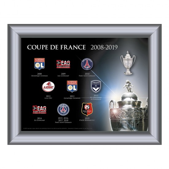 Coupe de France 2008-2019 κορνίζα 22x17 εκ. με καρφίτσες νικητών