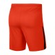 Nike League Knit II M BV6852-891 training shorts