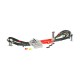 Hot Wheels Racing πίστα Formula 1 Grand Prix (JDY16)
