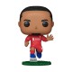 Λίβερπουλ φιγούρα Funko Pop! Virgil van Dijk #102