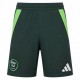 Algeria adidas away shorts