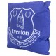 Μαξιλάρι Everton FC