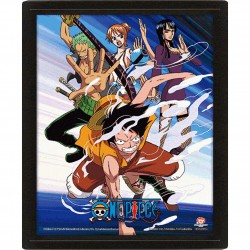 Κάδρο 3D One Piece Assault