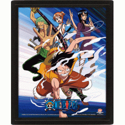 Κάδρο 3D One Piece Assault