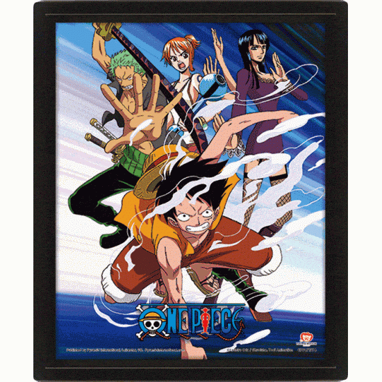 Κάδρο 3D One Piece Assault
