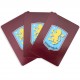 Τράπουλα Aston Villa FC