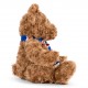 Αρκουδάκι Rangers FC Supersoft Classic