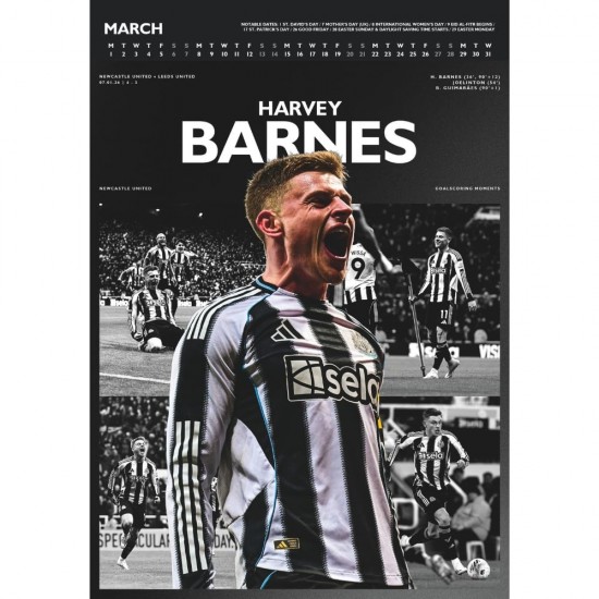 Ημερολόγιο τοίχου Newcastle United FC Deluxe 2027