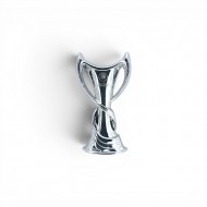 UEFA Women’s Champions League trophy pin badge