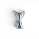 UEFA Women’s Champions League καρφίτσα τροπαίου