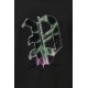 Παναθηναϊκός T-Shirt COMET, μαύρο