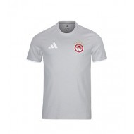 Ολυμπιακός μπλουζάκι προπόνησης  Adidas , γκρι